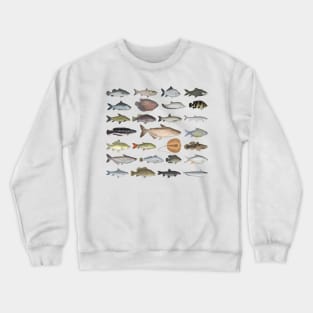 Southeast Asia Freshwater Fish Group Crewneck Sweatshirt